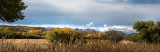 Bosque del Apache NWR