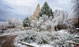 It Was a Wonderland Scene - First Snowfall