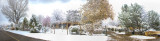 First December Snowfall