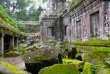 Moss Covered Ruins