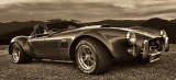 FORD / SHELBY / COBRA