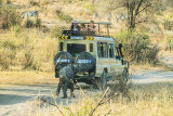 Baby Elephant Chasing a Land Cruiser