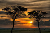 Maasai Mara Sunset