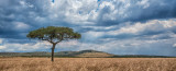 Kenyas Vast Plains