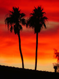 Sunset, Indian Palms CC 