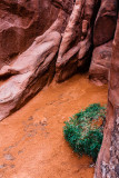 Slot Canyon