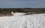 Beaver Pond City Forest 2-24-17.jpg