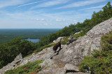 Kelley - Ragged Mt. Trail d 7-17-15-npl.jpg