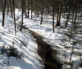 Stream DeMeritt Forest 2-28-17.jpg