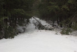 Johnson Brook Trail Sunkhaze b 3-2-17.jpg