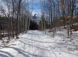 P B Trail Along Kenduskeag b 3-3-17.jpg