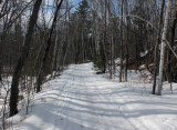 P B Trail Along Kenduskeag c 3-3-17.jpg