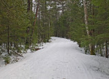 Logan Rd. DeMeritt Forest 3-9-17.jpg