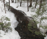 Stream DeMeritt Forest 3-9-17.jpg