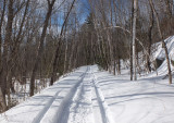 Trail Along Kenduskeag b 3-16-17.jpg
