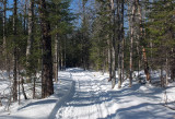 Glenburn Trails 3-20-17.jpg