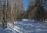 Glenburn Trails  d  3-20-17.jpg