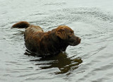 Kelley   - Newport Rail Trail 7-26-12-pf.jpg