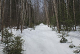 Glenburn Trails d 3-30-17.jpg