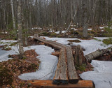 Brookside Trail Branch Lake b 4-8-17.jpg