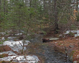 Kelley - Brookside Trail Branch Lake b 4-8-17.jpg