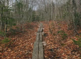 Partridge Pond Trail 4-13-17.jpg