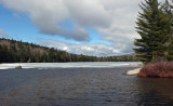 Partridge Pond 4-13-17-pf.jpg