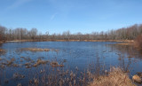 Pine Pond Newman Hill - 4-15-17.jpg