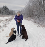 Faith and the Dogs - City Forest 12-28-13-pf.jpg