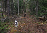 Cooper and Kelley Glenburn Trails 4-25-17.jpg