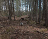 Cooper and Kelley Glenburn Trails c 4-25-17.jpg