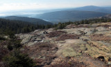 Hadlock Brook Trail b 12-14-12-ed-pf.jpg