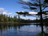 Sargent Mtn. Pond 10-2-09-pf.jpg