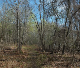Trail Piney Knoll 4-30-17.jpg