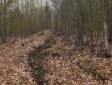 Ladies First Trail Perch Pond 5-12-17.jpg
