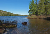 Kelley - Partridge Pond 5-16-17.jpg