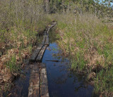 Canoe Launch Northern Pond 5-20-17.jpg