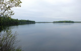 Perch Pond  5-24-17.jpg