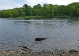 Kelley - Stillwater River c 6-6-17.jpg