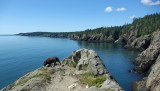 Coastal Trial - Cutler 8-13-10-ed-pf.jpg