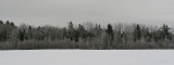 Walden 12-23-09-ed-pf.jpg