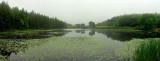 Little long Pond Fog pano 7-17-12.jpg