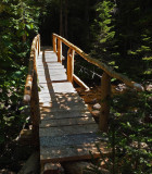 Bridge Harbor Brook Trail 6-29-17.jpg