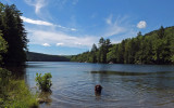 Kelley - Fitts Pond 7-3-17.jpg