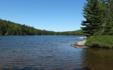 Partridge Pond 7-5-17.jpg