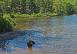 Kelley - Partridge Pond 7-5-17.jpg