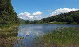 Little Long Pond 7-28-17.jpg