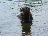 Kelley - Beaver Pond City Forest b 8-4-17.jpg
