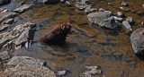 Kelley Mariaville Falls b 8-14-17.jpg