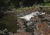 Mariaville Falls 8-14-17.jpg